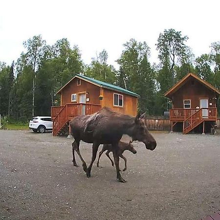 Talkeetna Love-Lee Cabins Hotel Buitenkant foto
